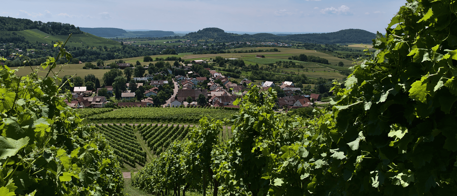 Fahrradverleih in Ilsfeld