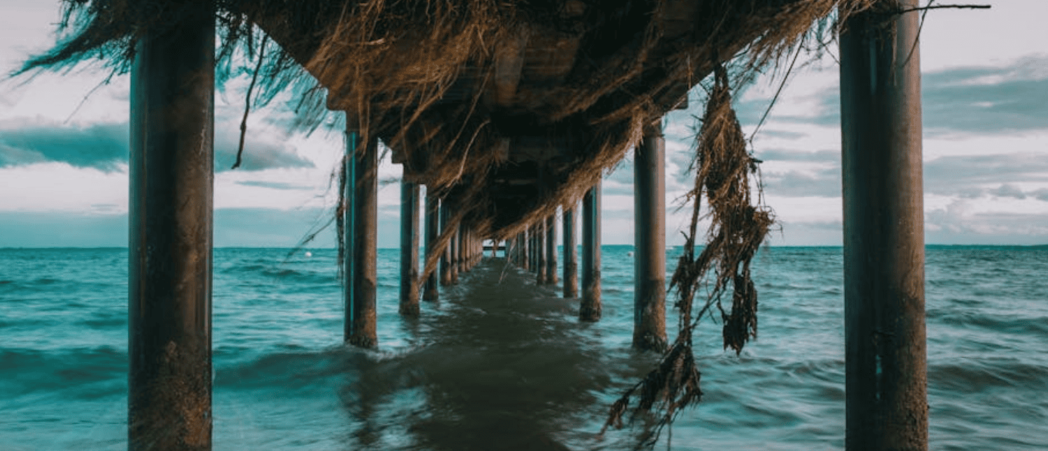 Pier am Meer